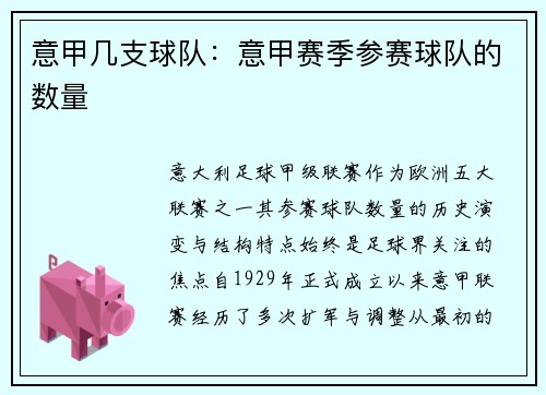 意甲几支球队：意甲赛季参赛球队的数量